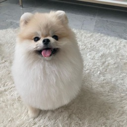 Kluvix profile picture